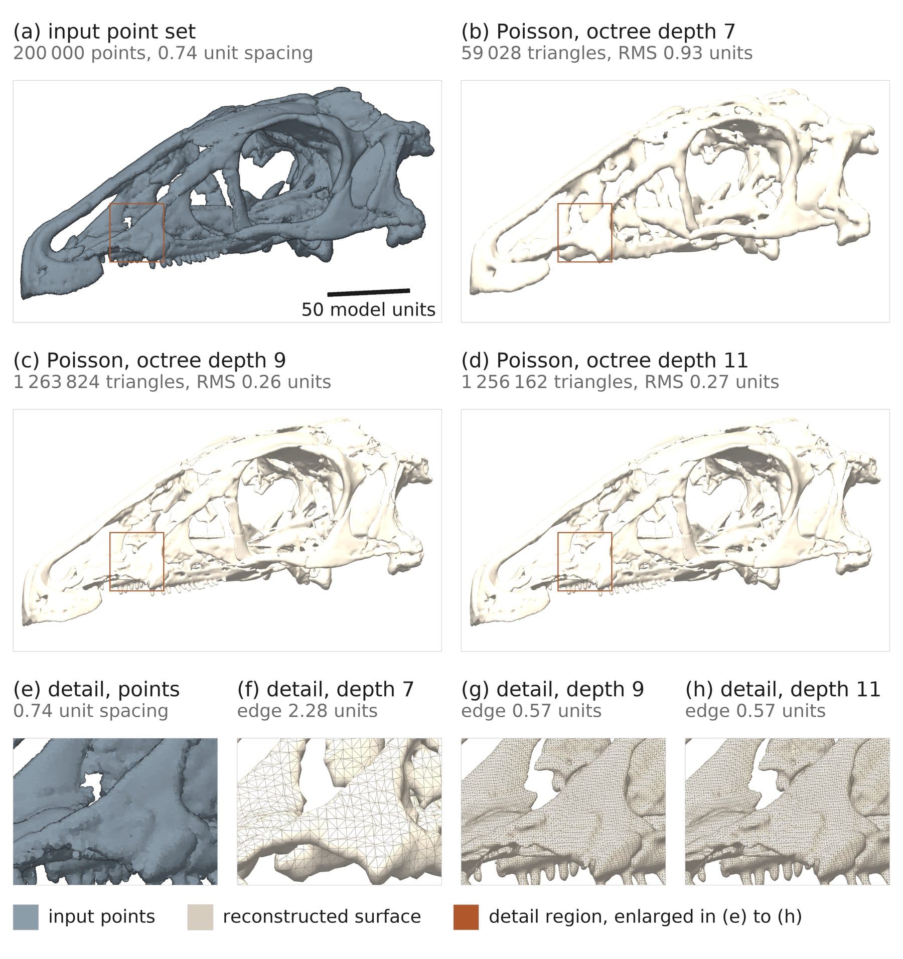 Figure 15.8: A skull reconstructed at three octree depths