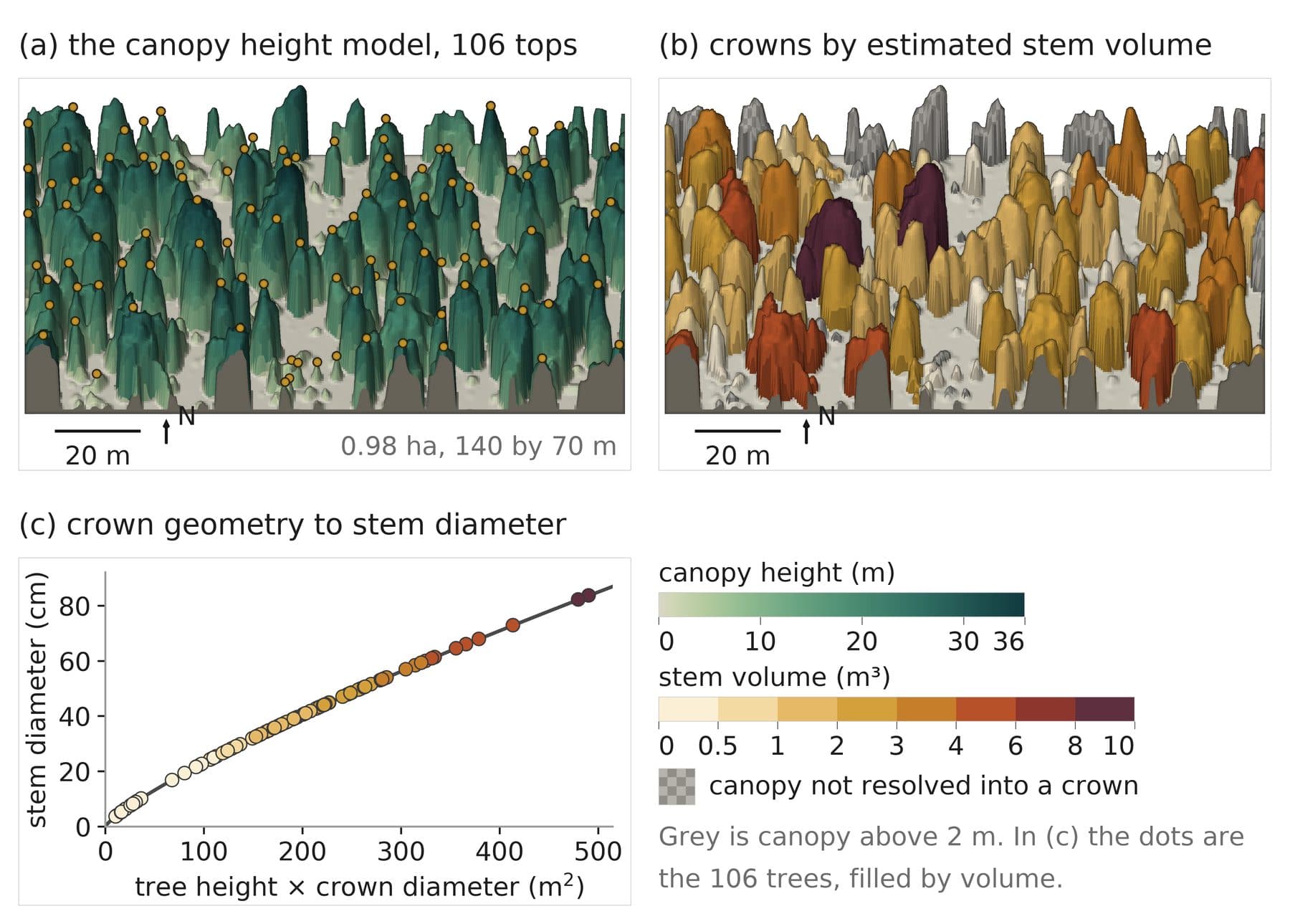 Figure 18.9: A canopy height model and its crowns