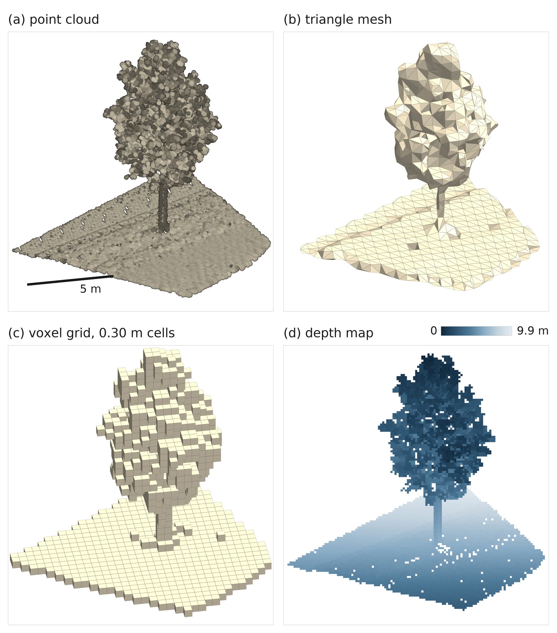The same street-tree scan as a point cloud, a mesh, a voxel grid, and a depth map.