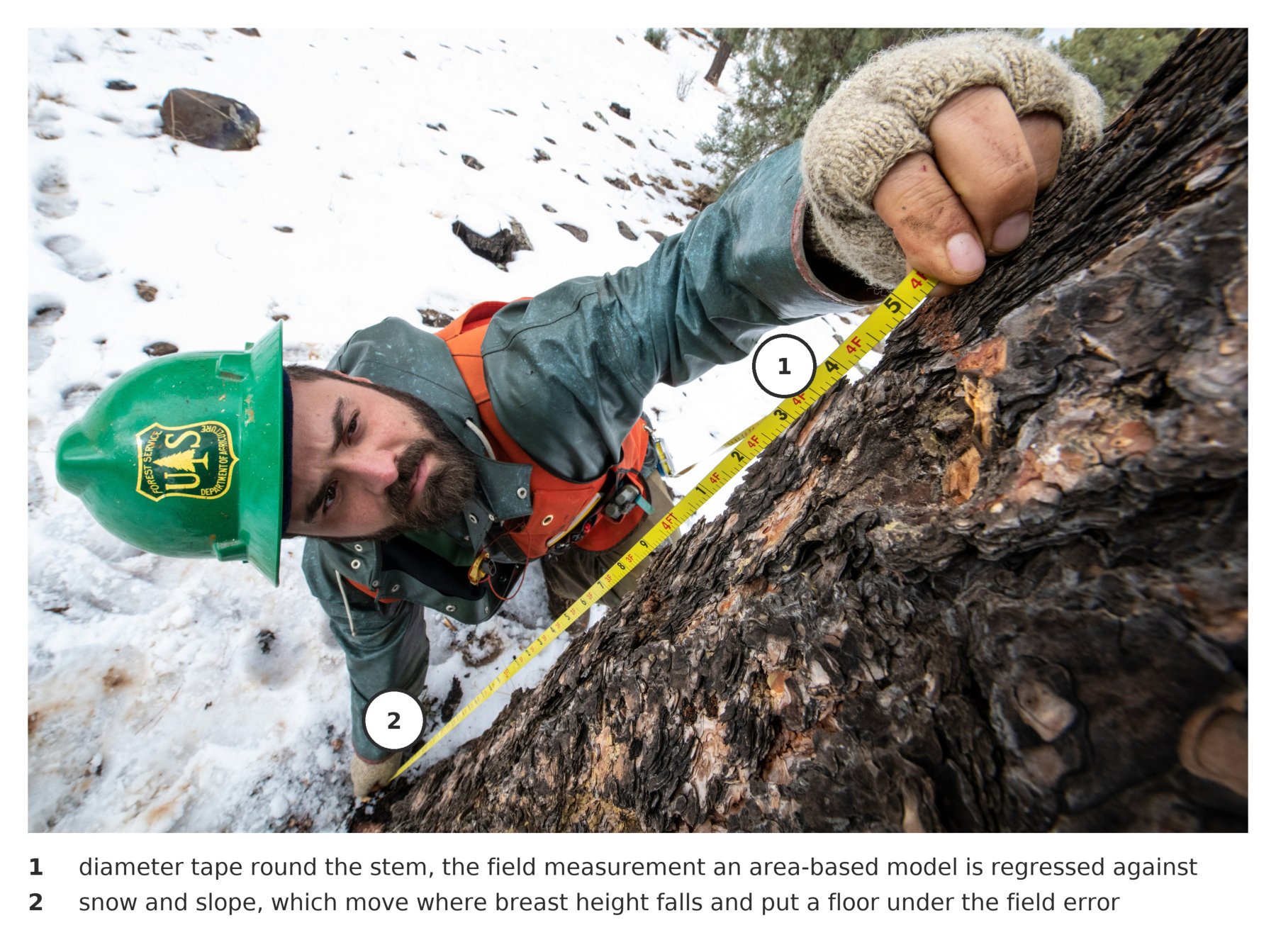 The field measurement an area-based model is regressed against