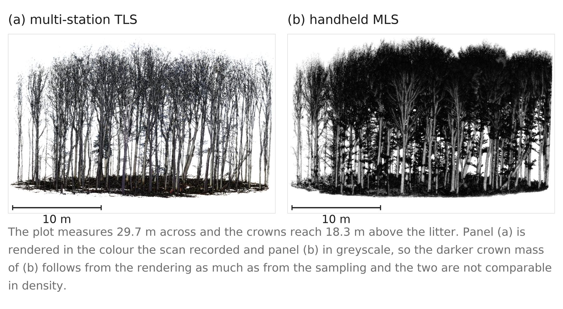 The same forest plot from TLS and from handheld MLS.