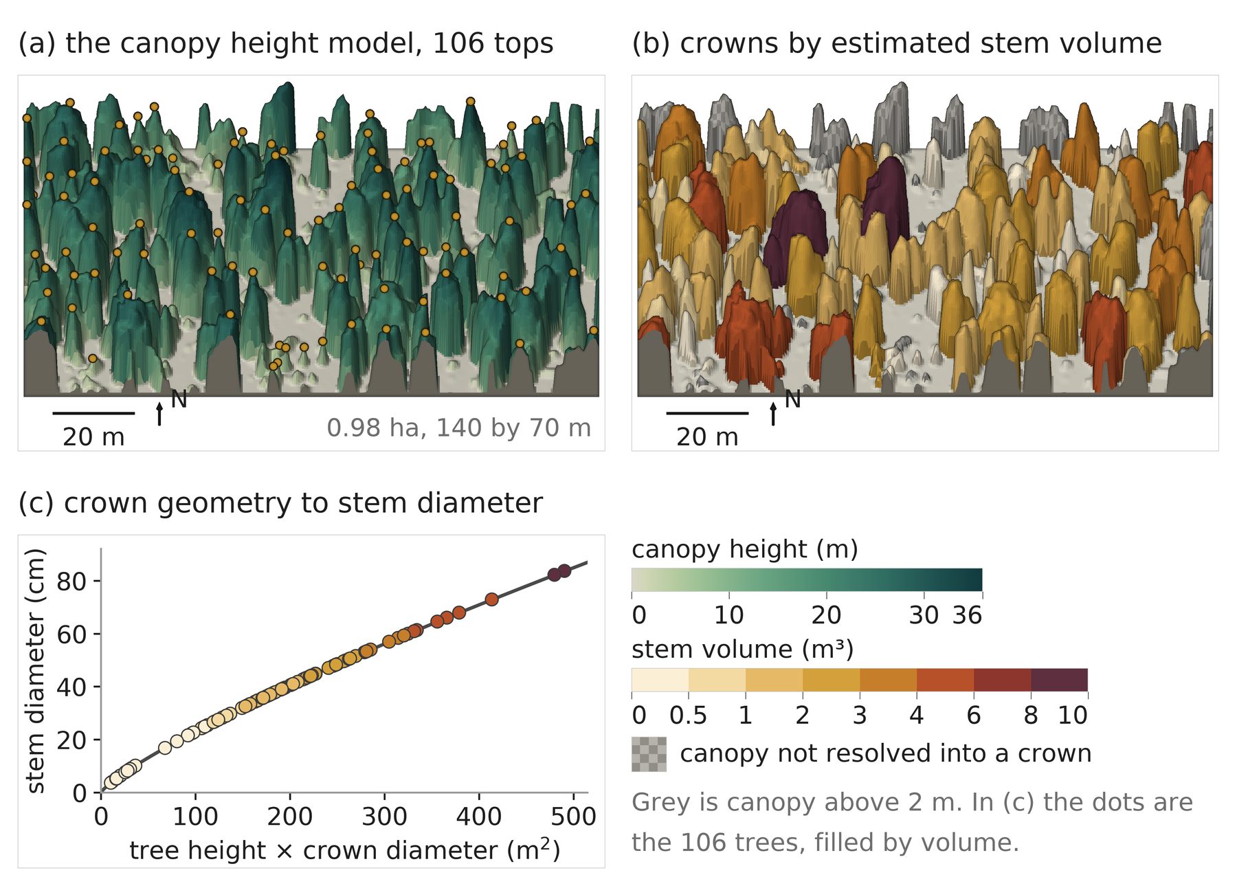 Forest inventory computed from an airborne LiDAR tile.